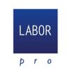 labor logo