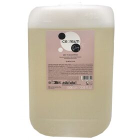IceCream Dry-t Shampoo 10lt