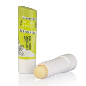 Gli Aromaterapici Burro Labbra H072 Zenzero E Menta